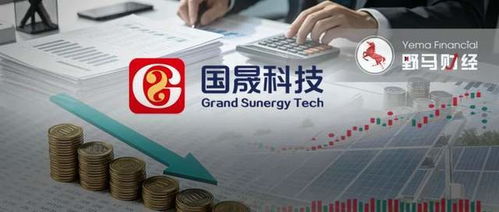 2天蒸發(fā)40億，國(guó)晟科技妖股神話破滅 鋰電故事不再講得通