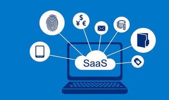 SaaS服務 中小企業(yè)信息化與現(xiàn)代化管理的強力引擎
